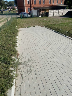 Grundstück in Barhöft – Traumhafte Lage zum Bauen - Barhöft Grundstück Bild Nr. 6 (5288)