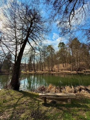 Kapitalanlage mit 9 Wohneinheiten in Spechthausen bei Eberswalde - Seeblick (6746)
