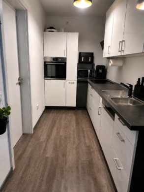 Penthouse mit 3 Zimmern und Dachterrasse in Seelze - Moderne Küchenansicht (6435)