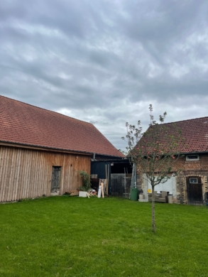 Großzügige Lager- und Gewerbehalle in Britz - Gewerbehalle und Umgebung (6318)