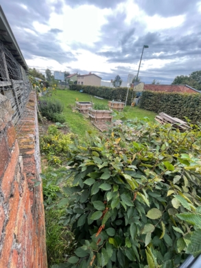 Großzügige Lager- und Gewerbehalle in Britz - Garten hinter Industriehalle (6319)