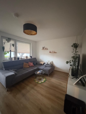 Helle 3-Zimmer-Wohnung mit Balkon in Dedensen - Gemütliches Wohnzimmer (6141)