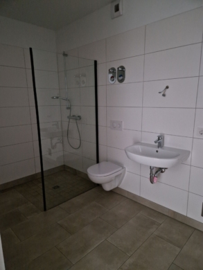 Helles Penthouse mit Terrasse, An der Pferdekoppel – ID: 063 - Badezimmer mit Duschwand (5533)