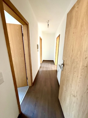 Vermietete Bestandswohnungen im Grünen – Kapitalanlage in Spechthausen - Moderner Flur mit Holztüren (4189)