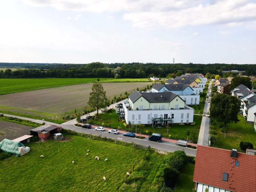 An der Pferdekoppel
